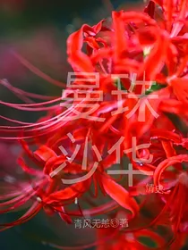 曼珠沙华情史