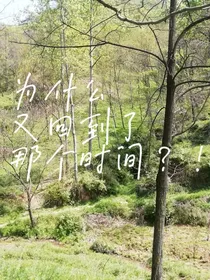 为什么又回到了那个时间！？