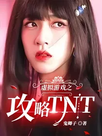 虚拟游戏之攻略TNT