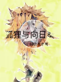 狐狸与向日葵