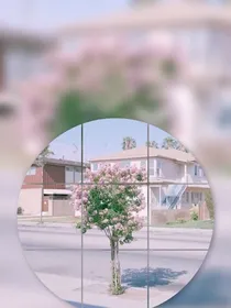 惊艳我的时光