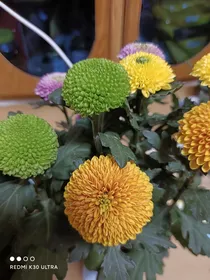 孤独十二则