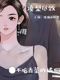 凌梨尽致