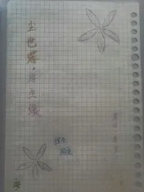 尘世落.浮生缘
