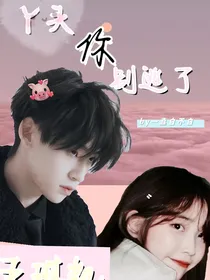 王琳凯：丫头你别逃了