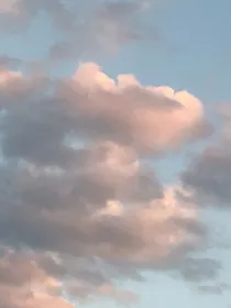 朝阳向北