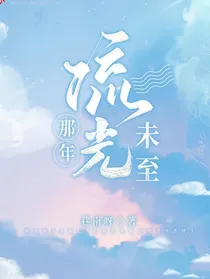 那年光流未至