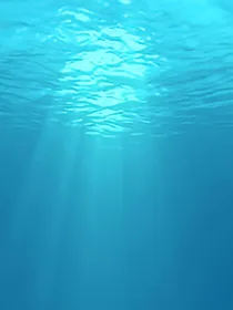脑洞小说合集