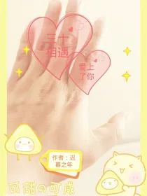 （三十相遇，爱上了你）