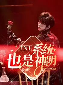 TNT：系统也是神明