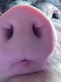 一剑侠