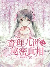 查理九世之秘密真相