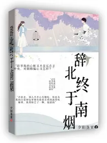 辞北终于南烟
