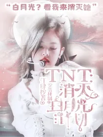 TNT：消灭白月光计划