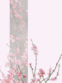 谈什么相思
