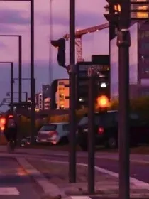 辞髓-d250