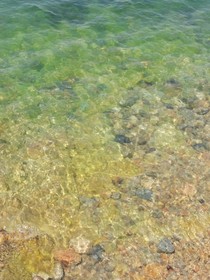 听海风