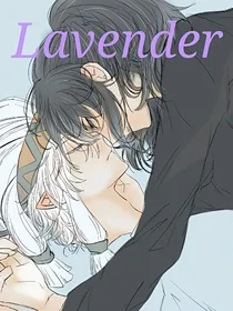 凹凸世界之Lavender
