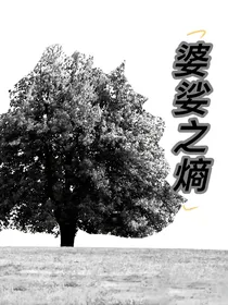 婆娑之熵