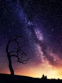 神兽金刚之星月沉夜