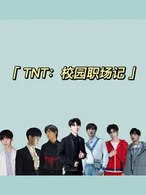TNT：校园职场记