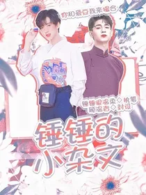 锤锤的小杂文