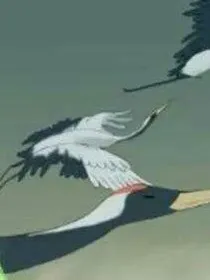飞鸾传