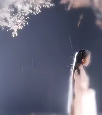 （综）轻云蔽月