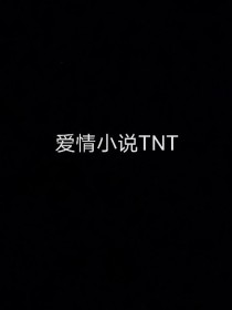 爱情小说TNT版