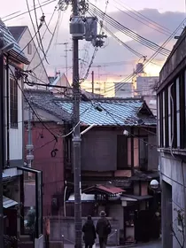 藤泽的夏天