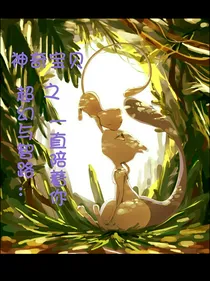 神奇宝贝之超幻与智路：一直陪着你