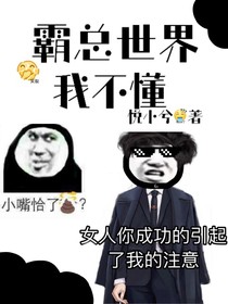 总裁世界我不懂