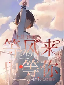 等风来也等你