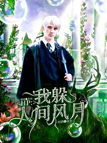 HP：我躲人间风月