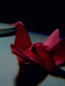 玫瑰千纸鹤