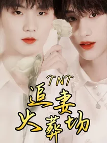 TNT时代少年团：追妻火葬场