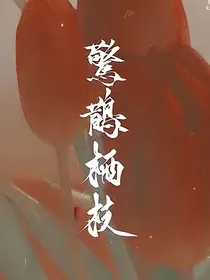 王者荣耀：惊鹊栖枝-d338