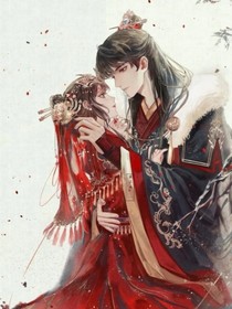 穿越王妃的马甲