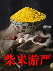 柴米游严