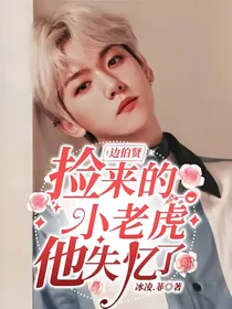 边伯贤：捡来的小老虎他失忆了