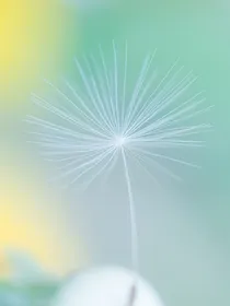 奈何念念不想忘