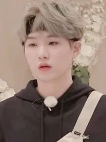 BTS：闵先生der恋爱日记