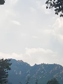 情深有几许