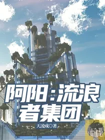 阿阳：流浪者集团