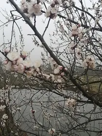 小麻雀变金凤凰
