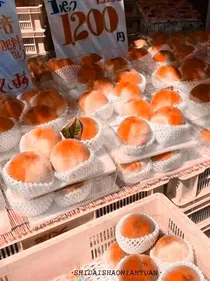 宋榆牌头像铺