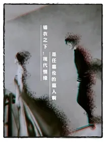 锦衣之下：现代情缘