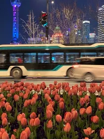 把晚风藏进口袋里