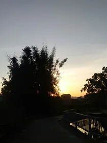 动漫测评师