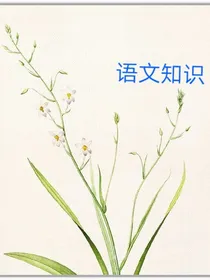 语文知识